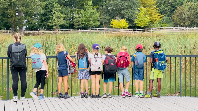 Une journée à la forêt