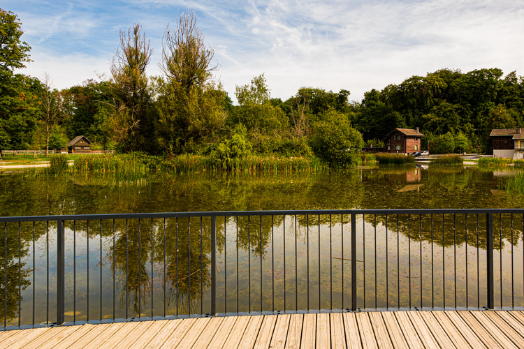 Journée à Sauvabelin